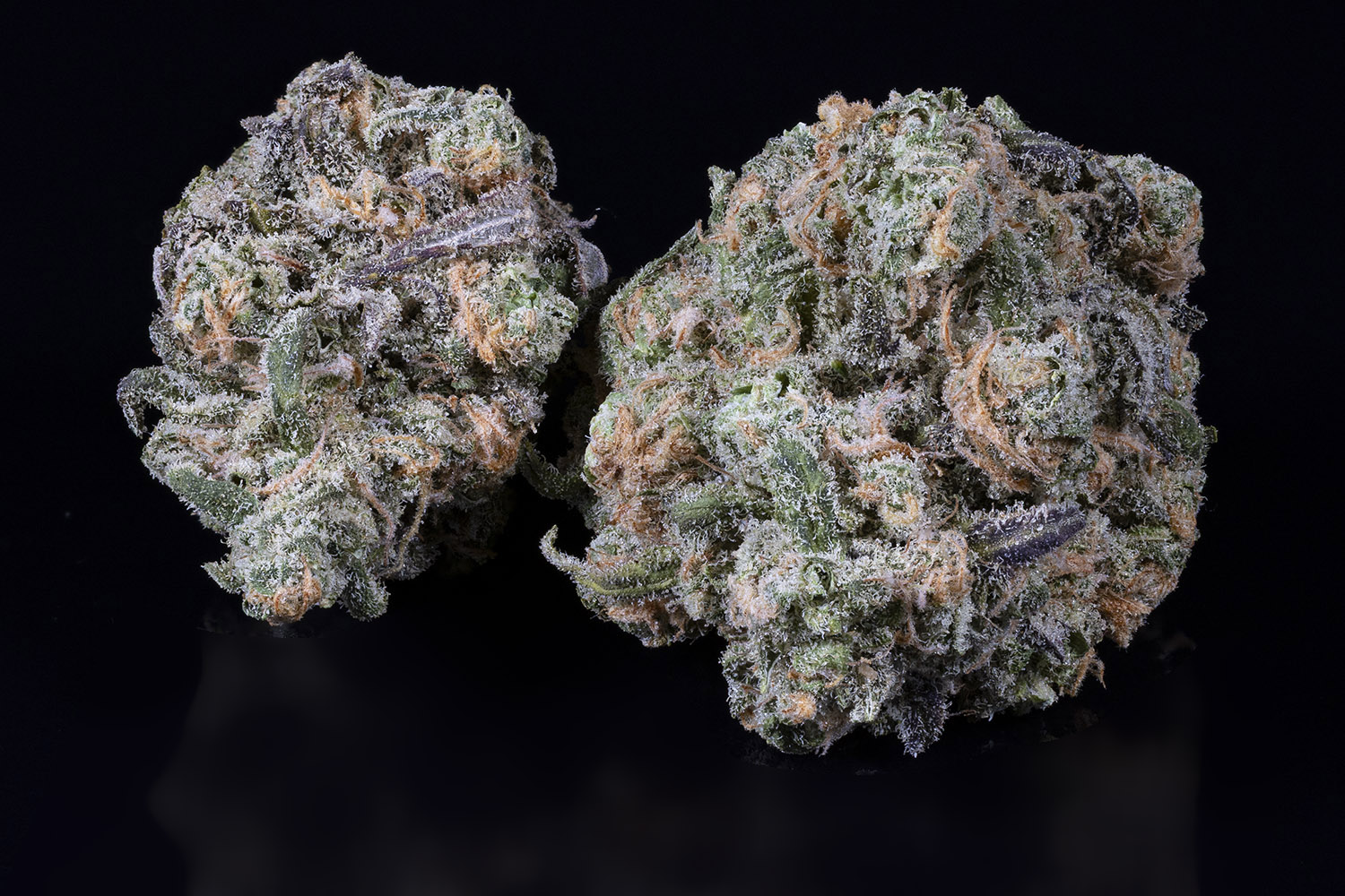 Photograph of product: Blue Dream - Bulk Flower - 28g