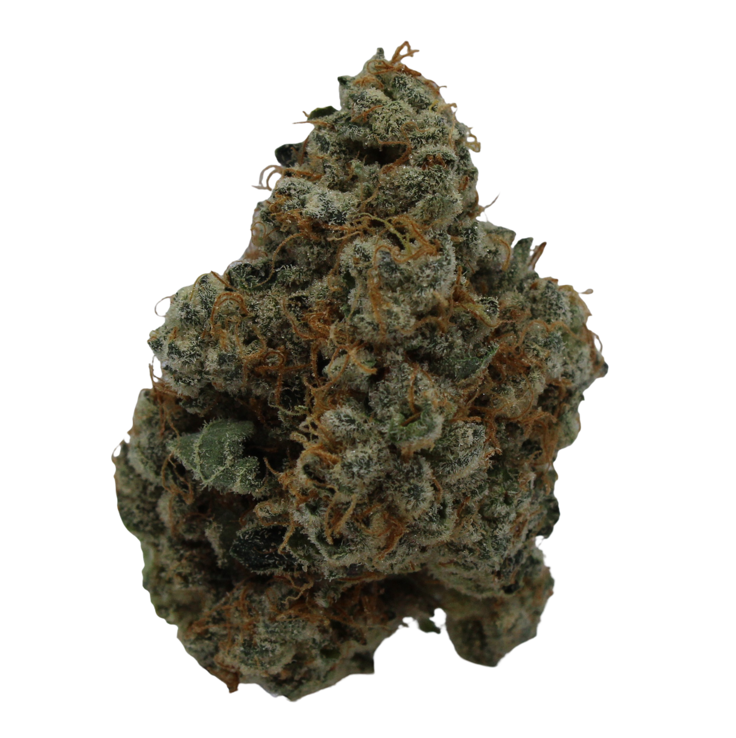 Photograph of product: Frosted Jungle - 28g
