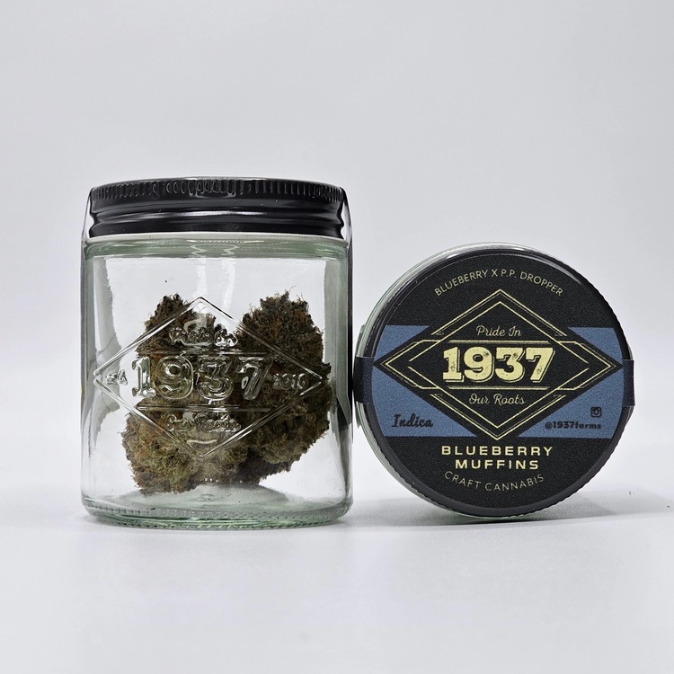 Photograph of product: Blueberry Muffins 1937 - 3.5g