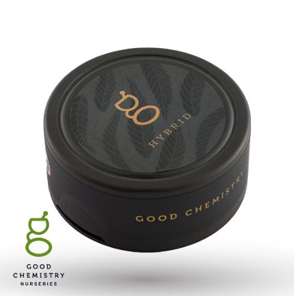 Photograph of product: Chocolate Chem Flower l 3.5g - Good Chemistry