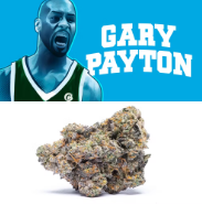 Photograph of product: (2) DC's Finest: Gary Payton (H) - 28g