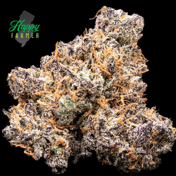 Photograph of product: Candied Garlic | Whole Flower | 3.5g