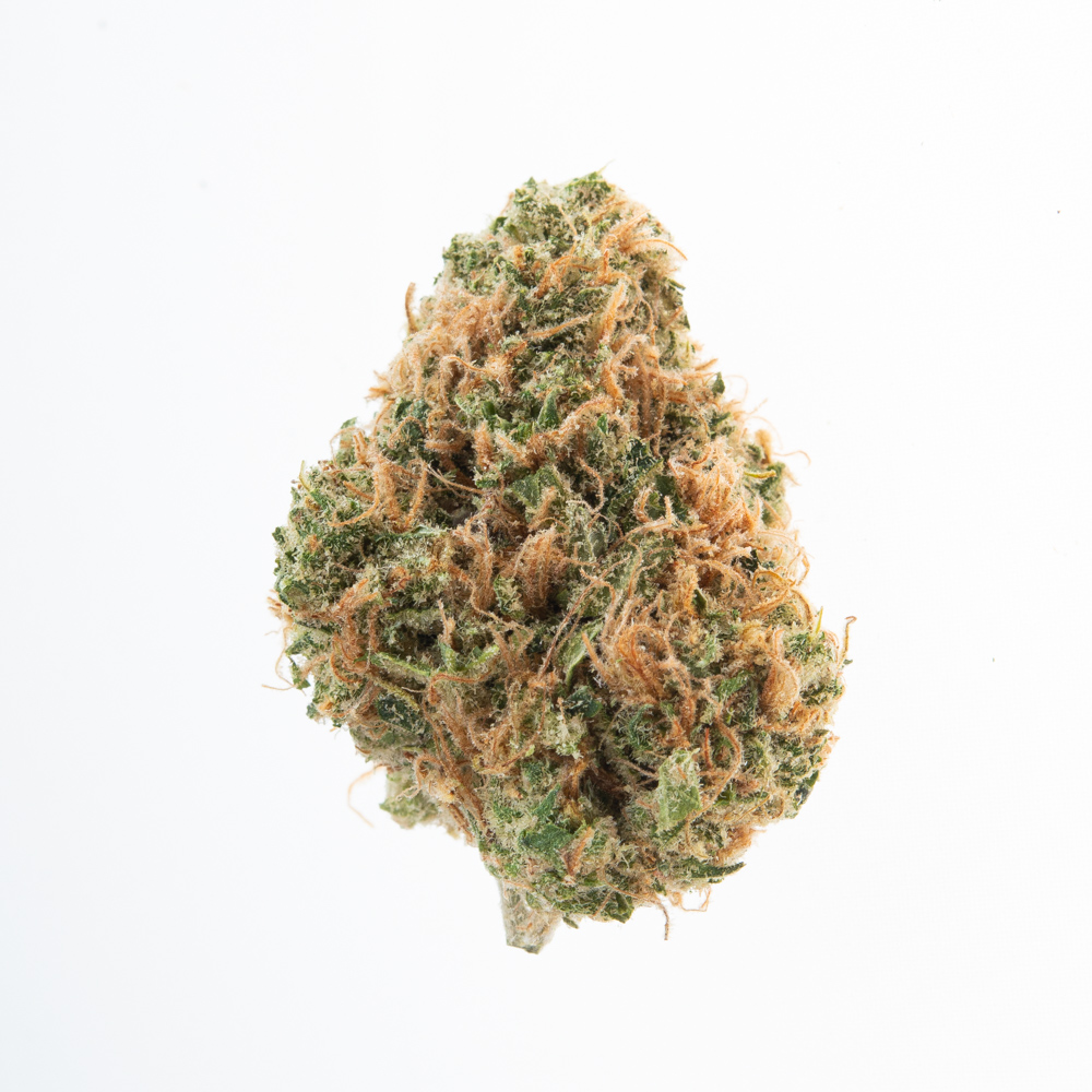 Photograph of product: Buds | Golden Goat - 28g