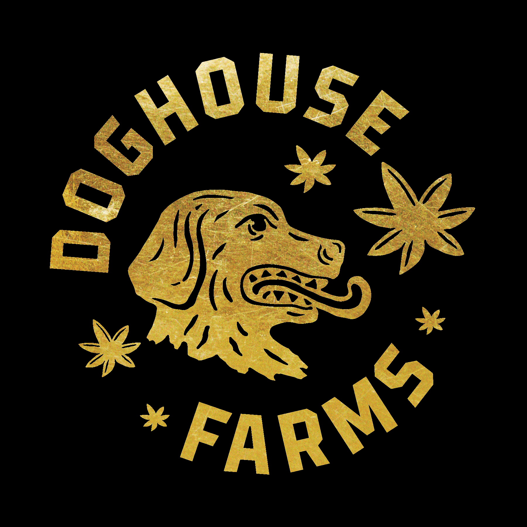 Logo for img-fluid: Doghouse Farms