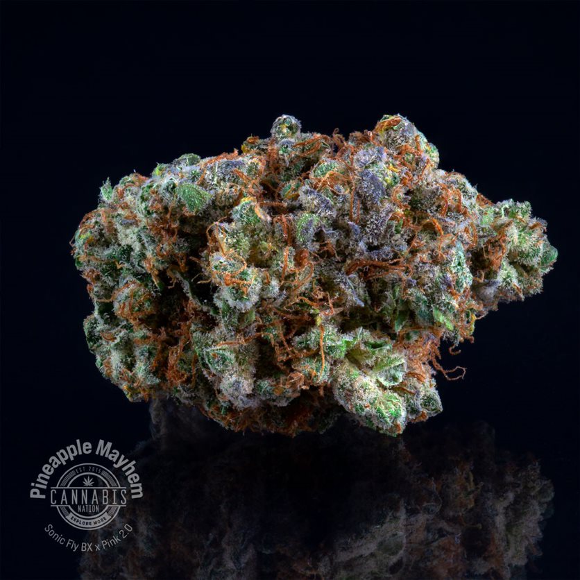 Photograph of product: Flower | Pineapple Mayhem - 28g