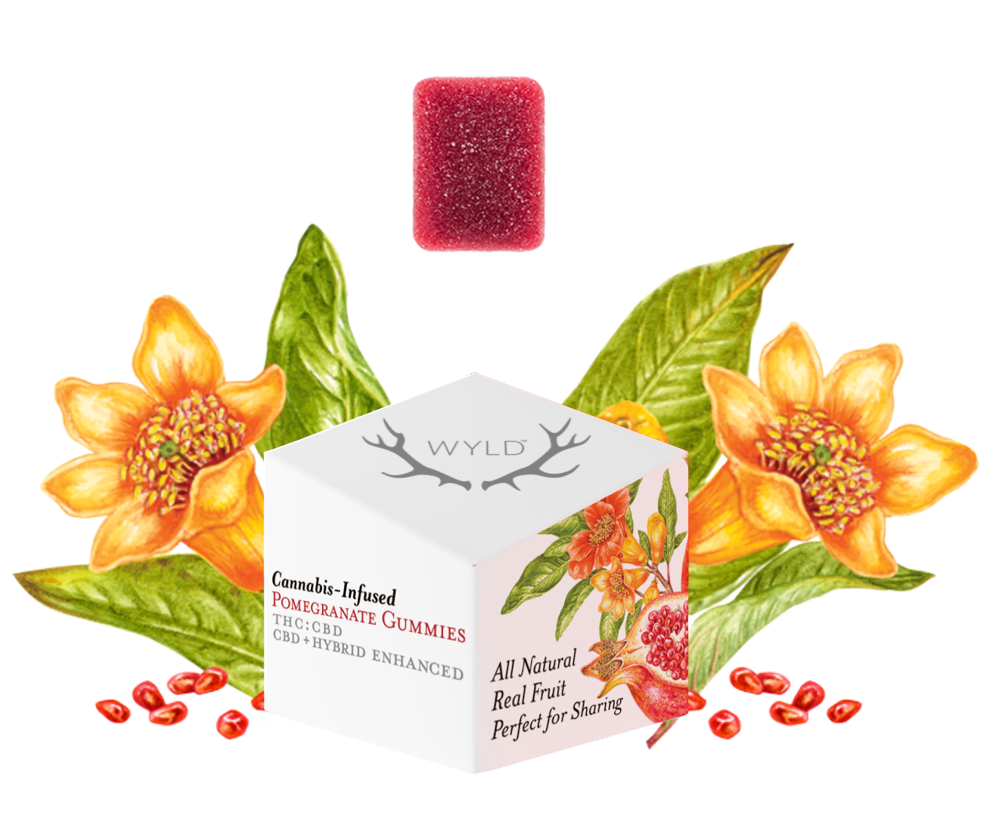 Photograph of product: Wyld - 100mg 1:1 Pomegranate Gummies