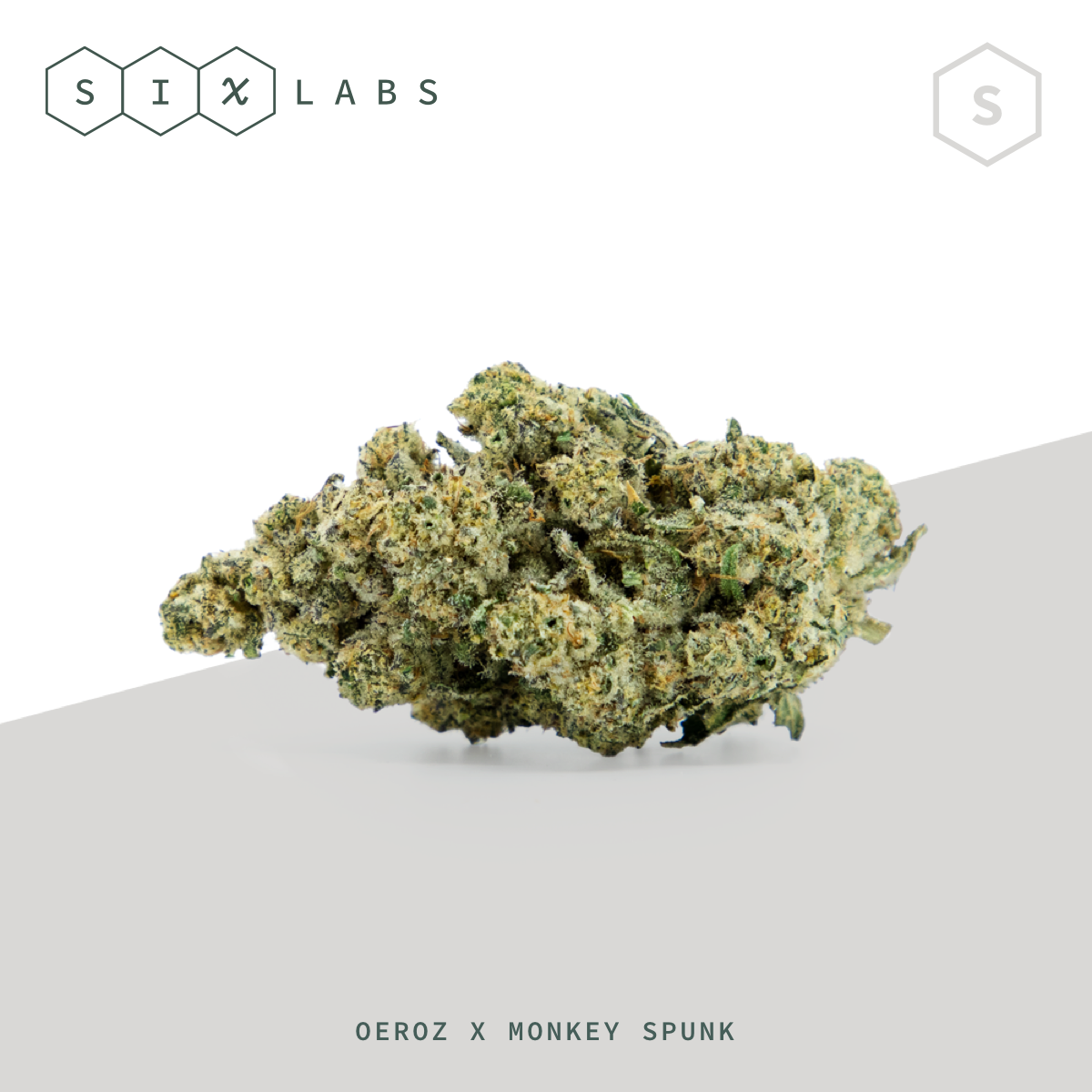Photograph of product: Six Labs Value Bulk | Lemon Lovestone - Hybrid - 14g
