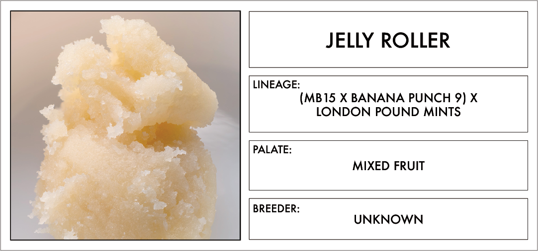 Photograph of product: Olio | Jelly Roller | 1g | Live Rosin
