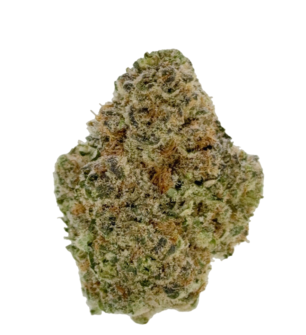 Photograph of product: Silver Therapeutics - Platinum Garlic 3.5G