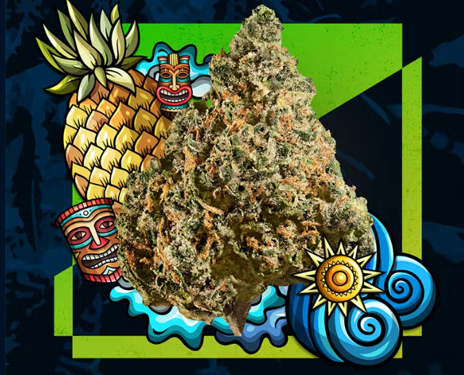 Photograph of product: Cresco - Flower - Pineapple Express (3.5g)