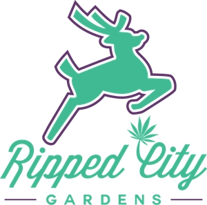 Photograph of product: Ripped City | Gelato Pie - 14g