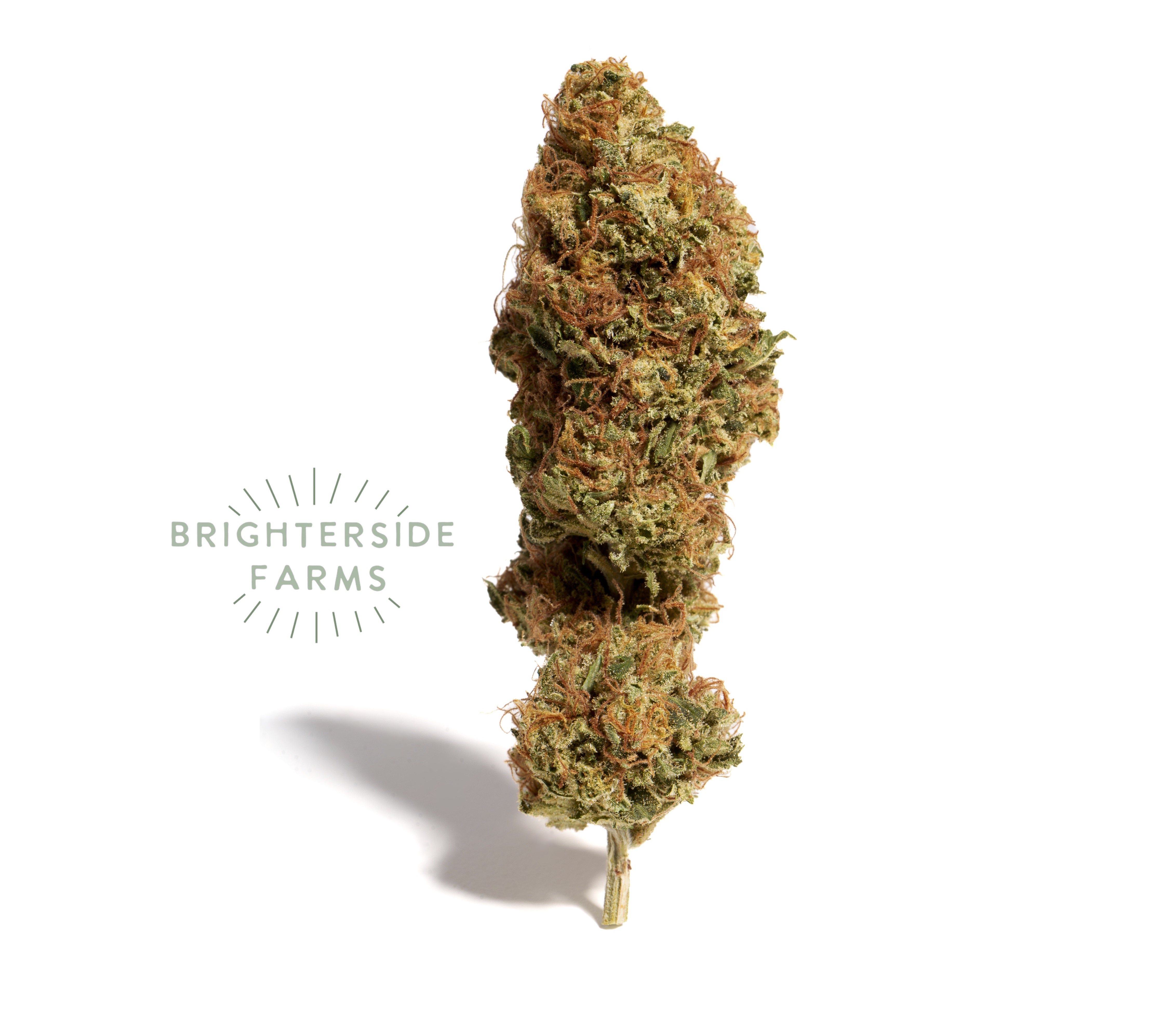 Photograph of product: Brighterside Farms - GH1 - Flower - (S) - 3.5g
