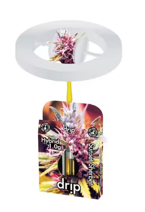 Photograph of product: Drip - 1g Cart - Sunset Sherbert Hybrid