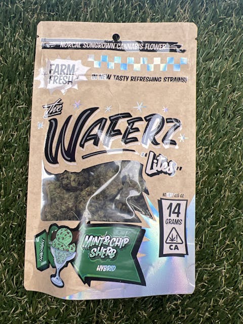 Photograph of product: MINT & CHIP 14G - 