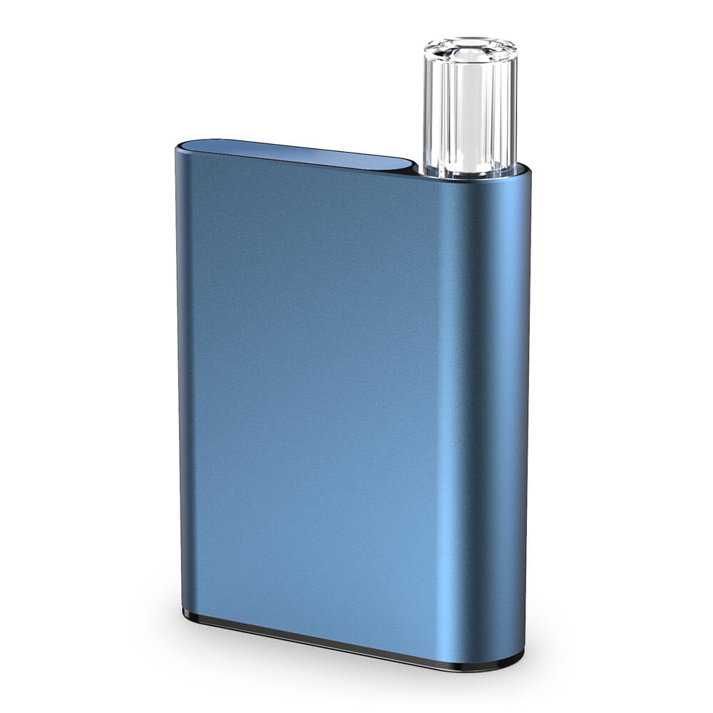 Photograph of product: C-Cell Palm Battery (Blue)