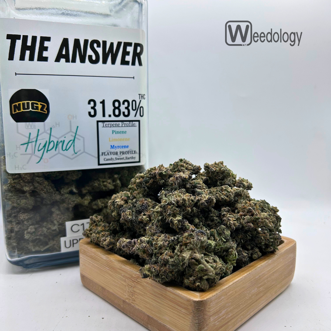 Photograph of product: The Answer (H) - 28g