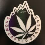 Photograph of product: Grape Moon Pop 0.5 Gram Pre-Roll (17.81% TH-oui)