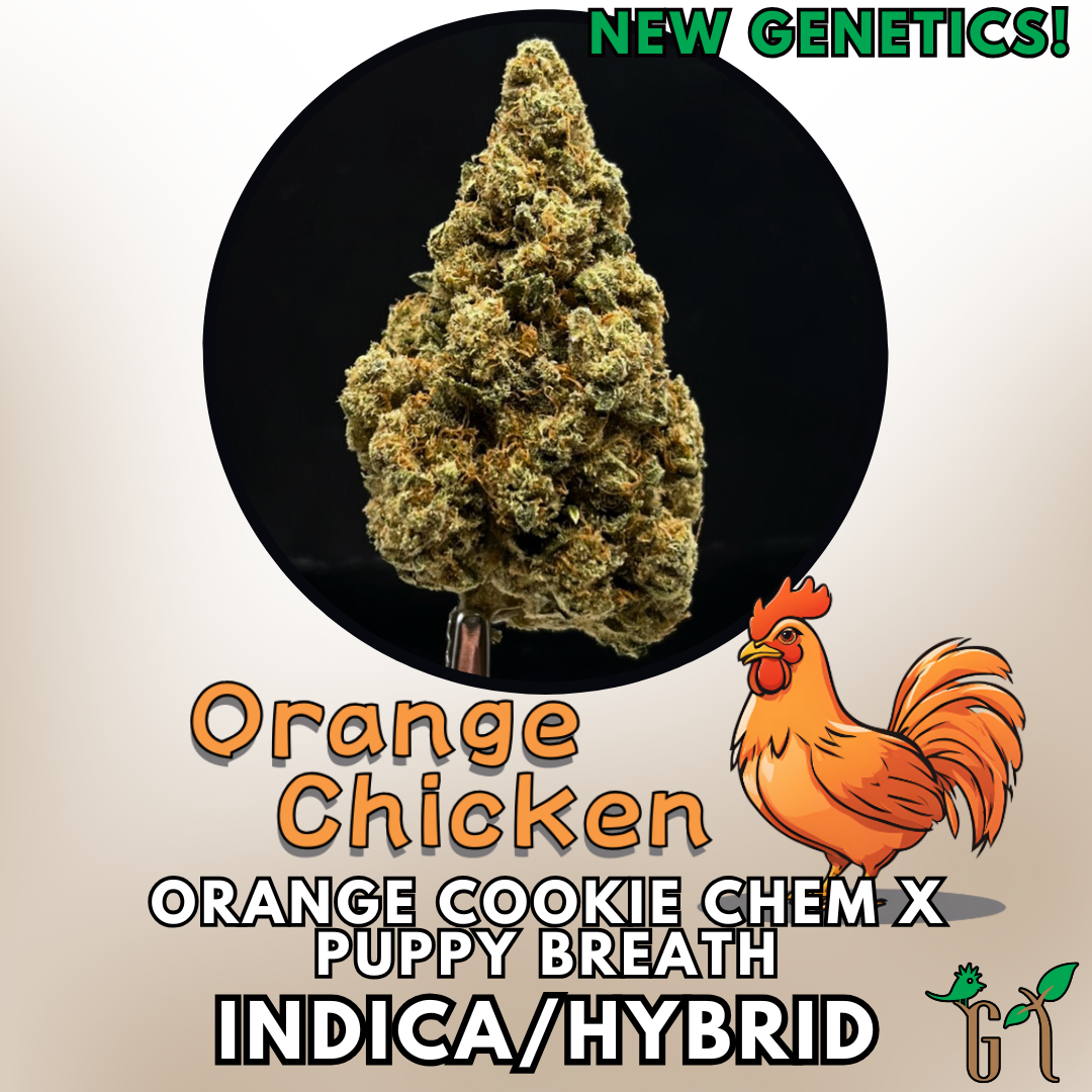 Photograph of product: Flower - Orange Chicken - Tier 2 (Bldr) - 28g