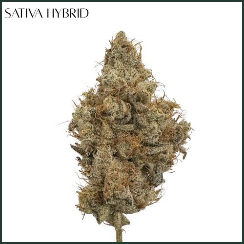 Photograph of product: AltSol DC | Sour Candylope | Flower - 3.5g