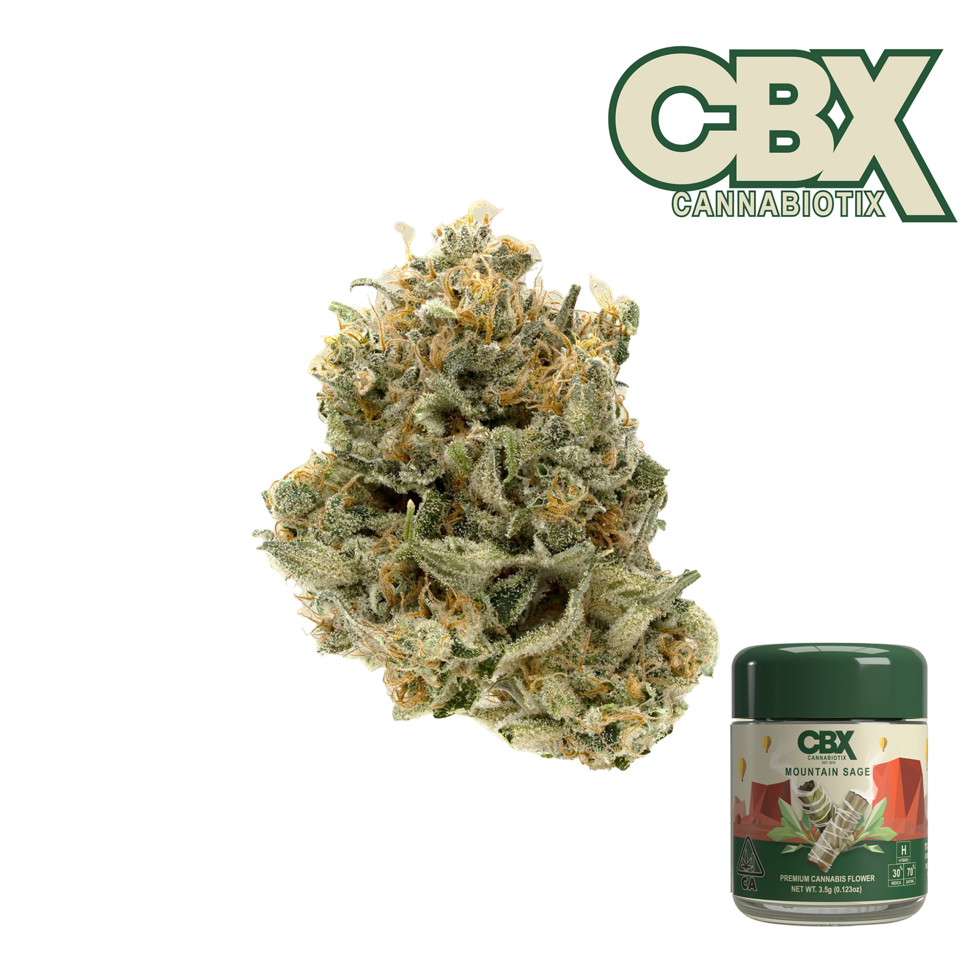 Photograph of product: Mountain Sage