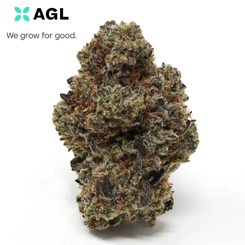 Photograph of Product: AGL | Night Owl Haze | Flower | 3.5g