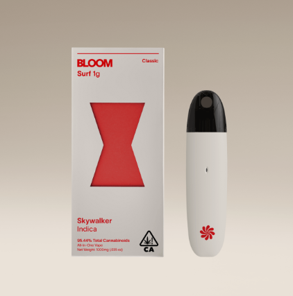 Photograph of product: SKYWALKER 1G SURF ALL IN ONE