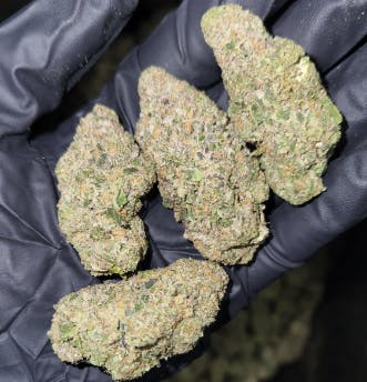 Photograph of product: High Minded Prepackaged 3.5g - Permanent Marker