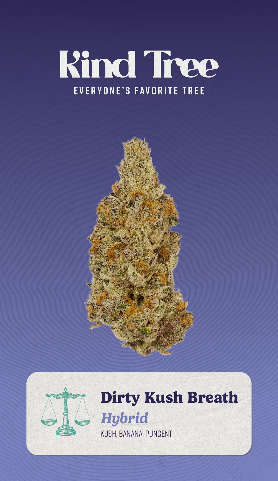 Photograph of product: Candy Fumes | 7g Littles I Kind Tree