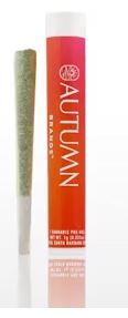 Photograph of product: STANDIN' ON BUSINESS [I] - 1 G
