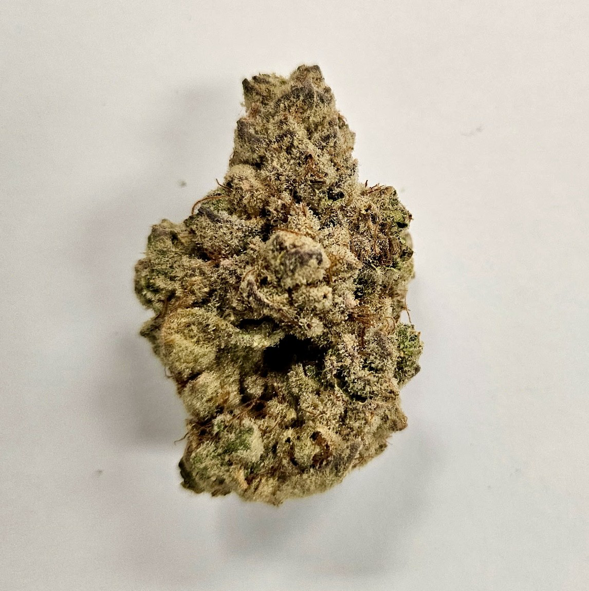 Photograph of product: OGD Lux (H)