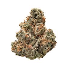 Photograph of product: Garlic Gazillionaire - 28g