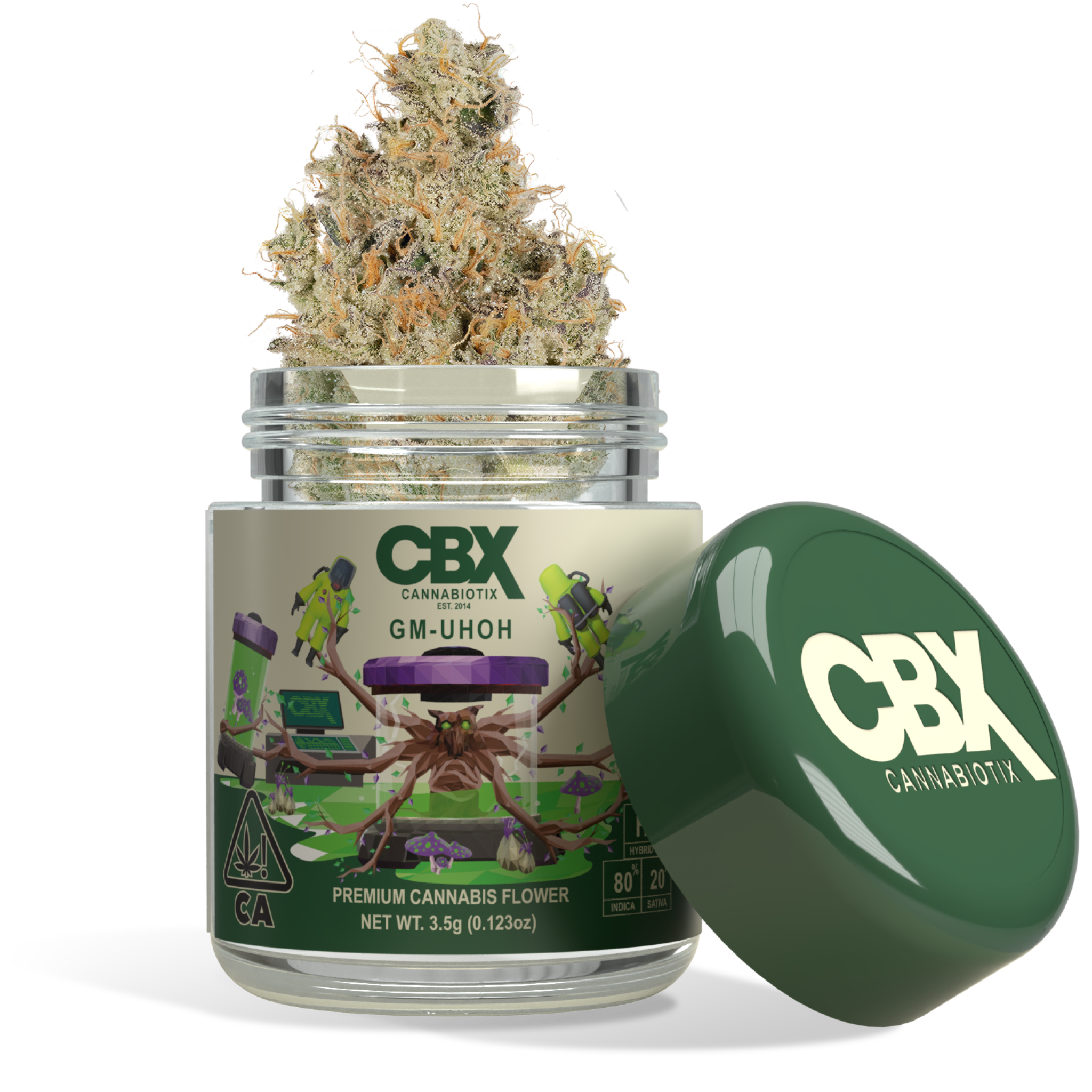 Photograph of product: Limited | GM-UHOH - 3.5g