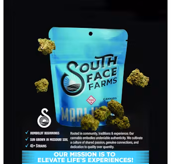 Photograph of product: SOUTH FACE FARMS - PREPACK -  - GUSH MINTZ - Oui'd - 3.5g