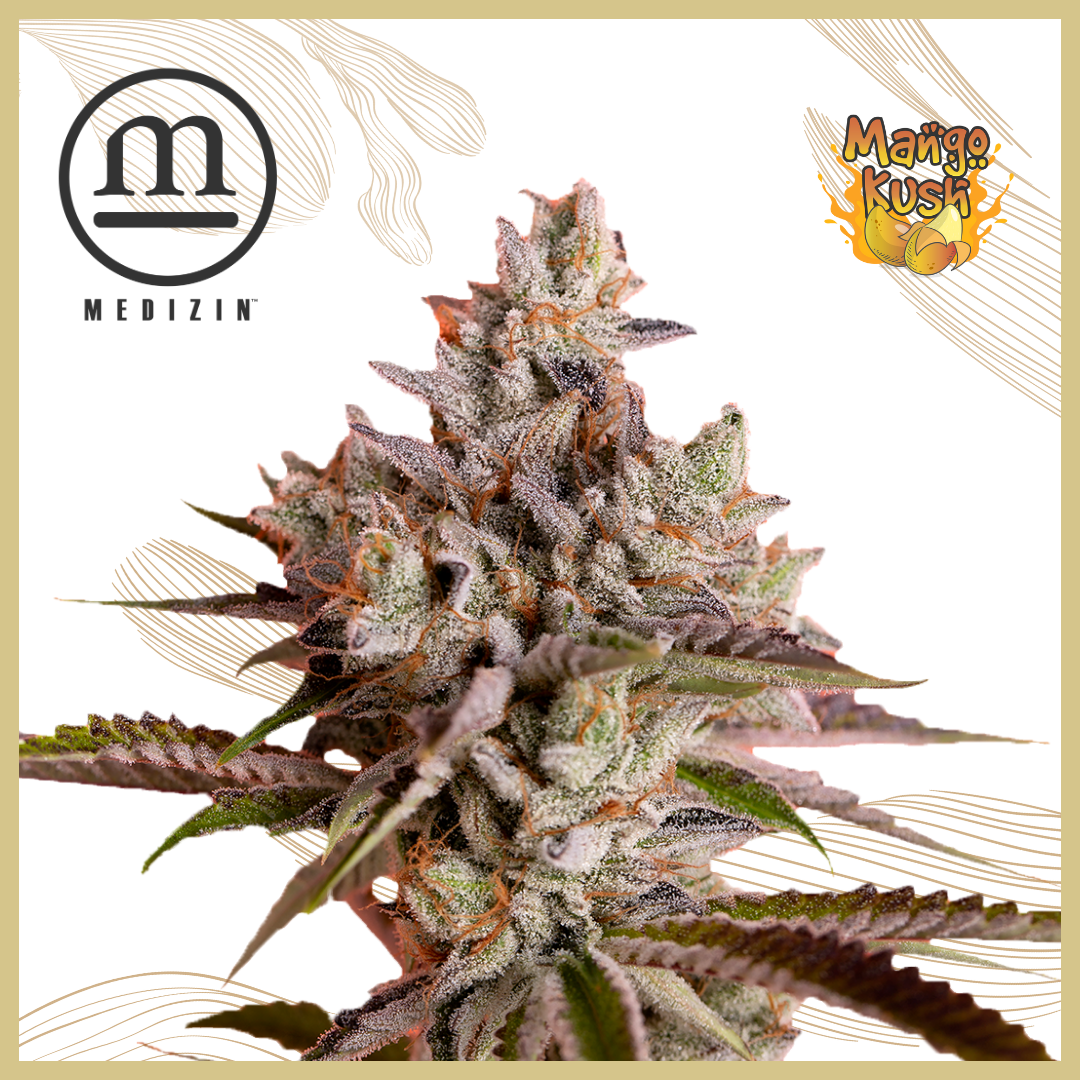 Photograph of product: Medizin Gary Poppins 3.5g