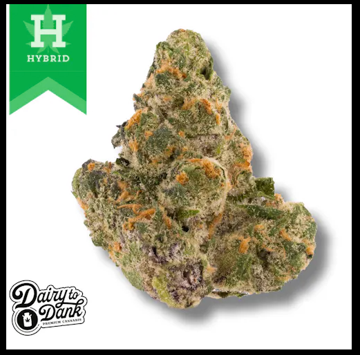 Photograph of product: Dairy 2 Dank - Scotch and Soda Pre-Pack (H) - 14g