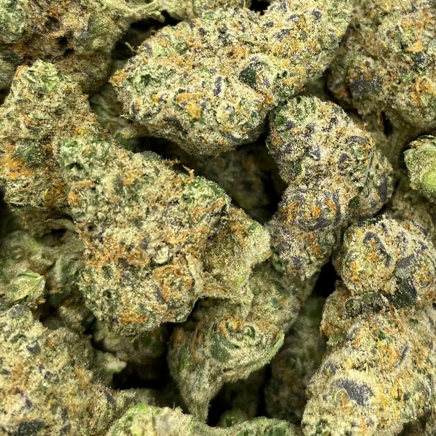 Photograph of Product: Gas Tier - Nura - Grape Cream Cake Bulk Bud - 2g