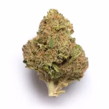Photograph of product: AMA | Rainbow PR