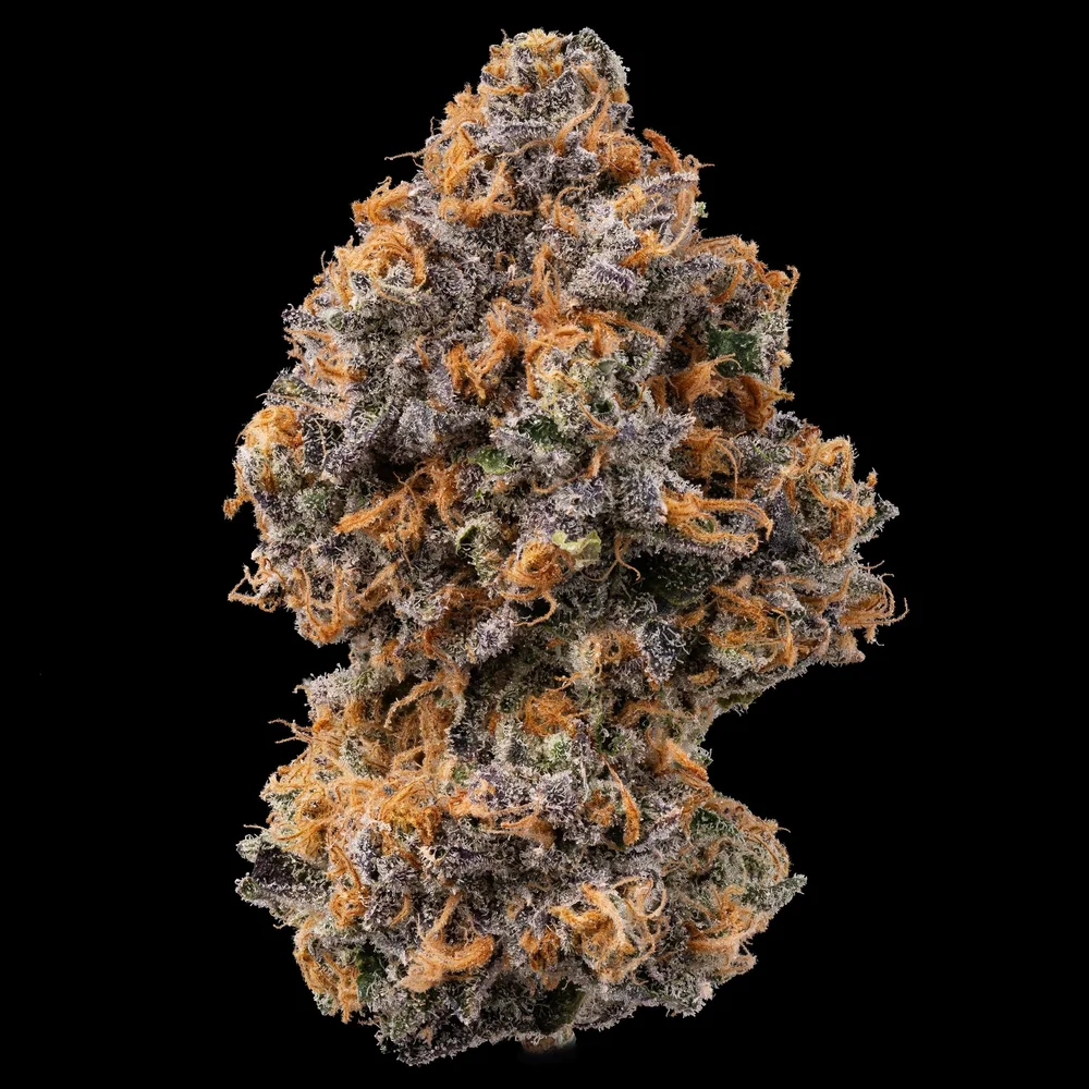 Photograph of product: Impressed | Rainbow Sherbert #11 | 3.5g