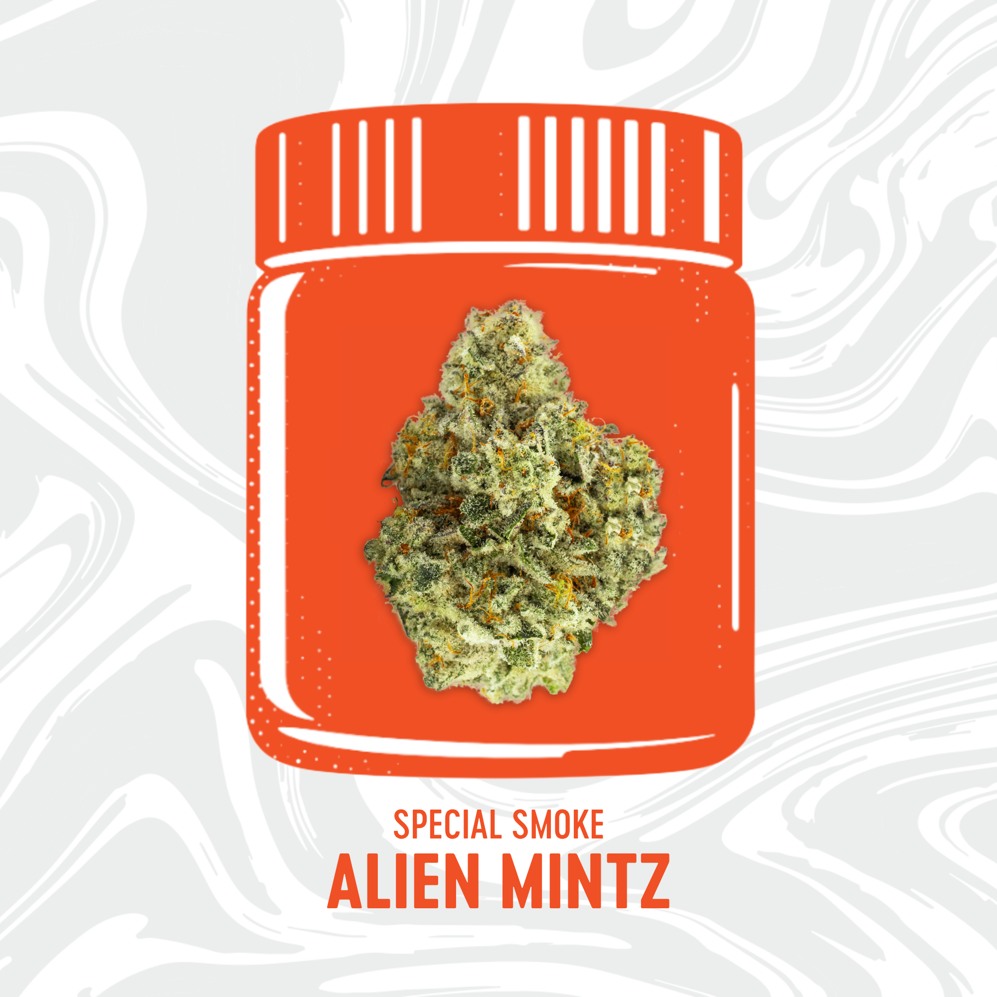 Photograph of product: Vivid -  Special Smoke - Alien Mintz- Pre-Packed - 14g