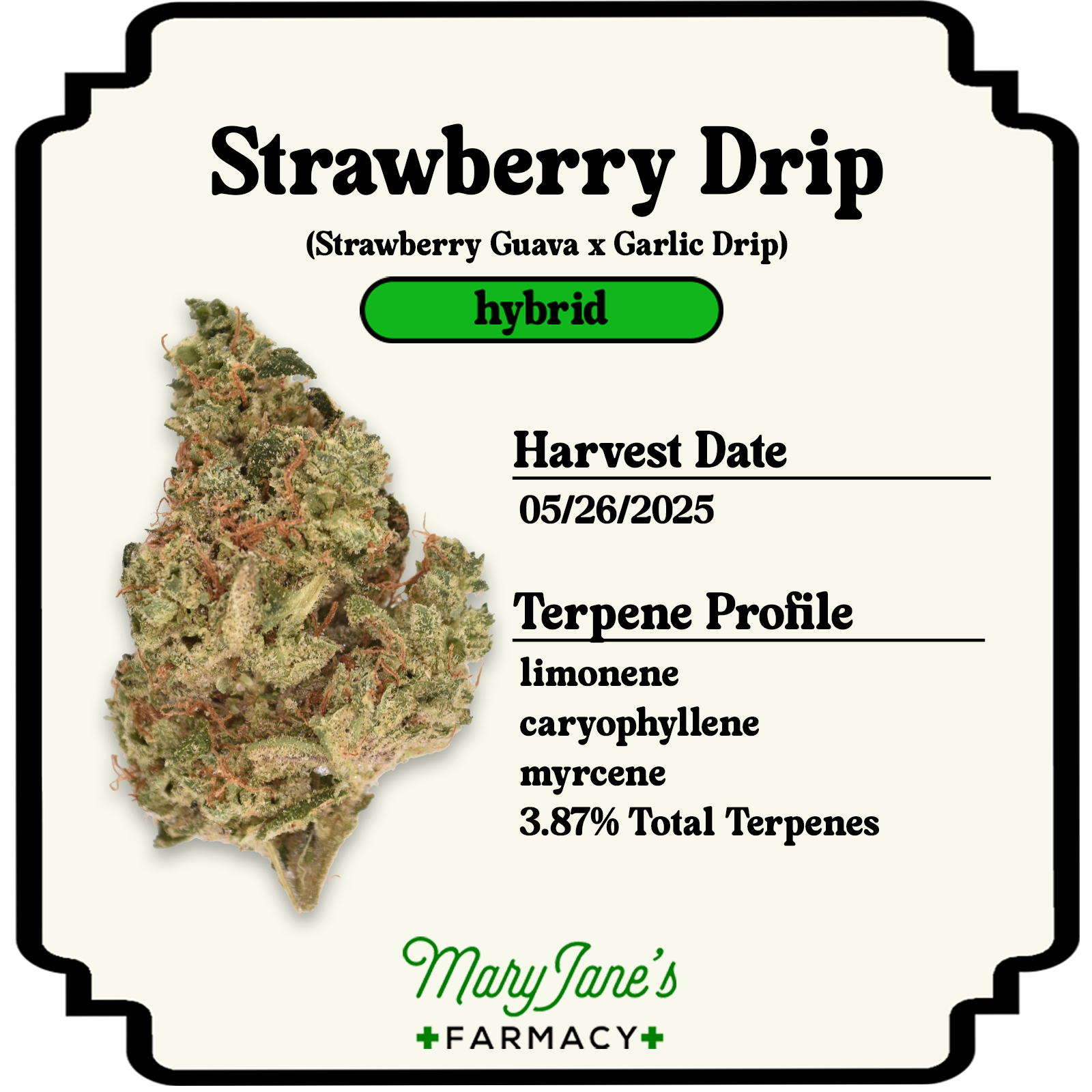Photograph of product: Strawberry Drip Pre-roll | .5g