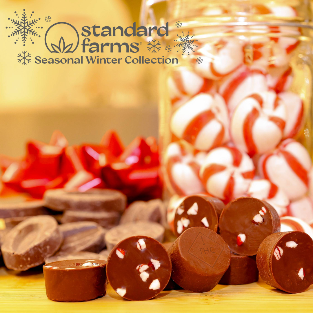 Photograph of product: Peppermint Bark Chocolate Bites | 100mg, 10pc