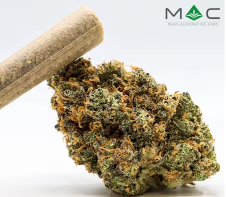 Photograph of product: Hawaiian Dream Pre-Roll | 1g