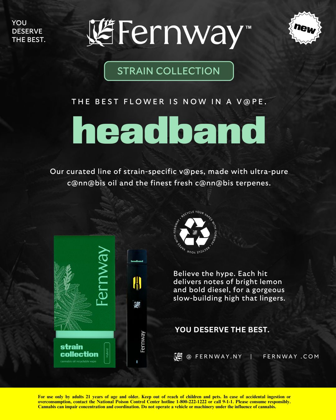 Photograph of product: Fernway - Headband - Traveler AIO