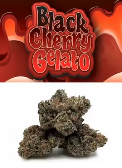 Photograph of product: COOKIES - Black Cherry Gelato7g Littles [H]