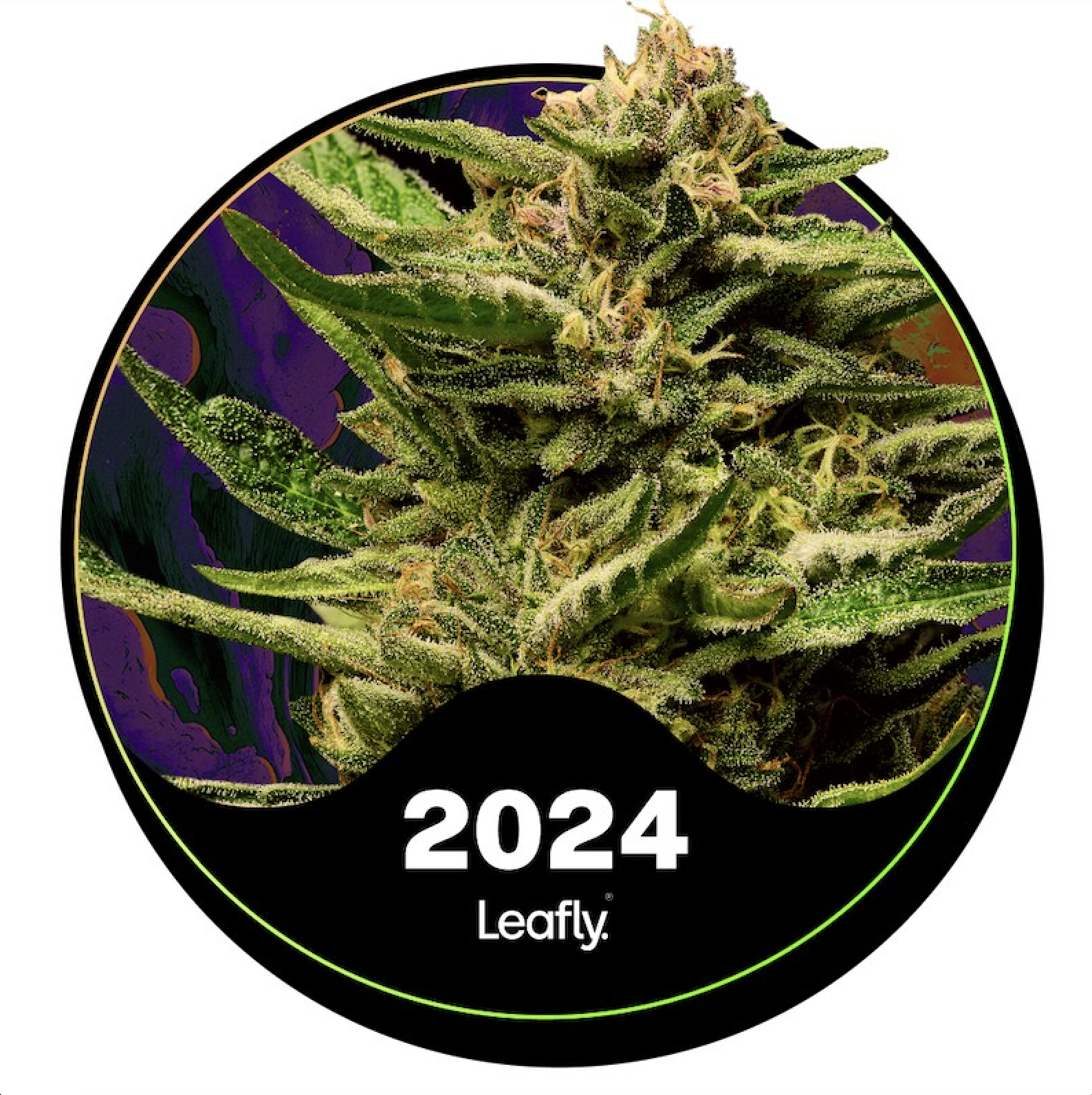 Photograph of product: Super Boof | Buds | 30.16% | Oui'd Hybrid - 28g