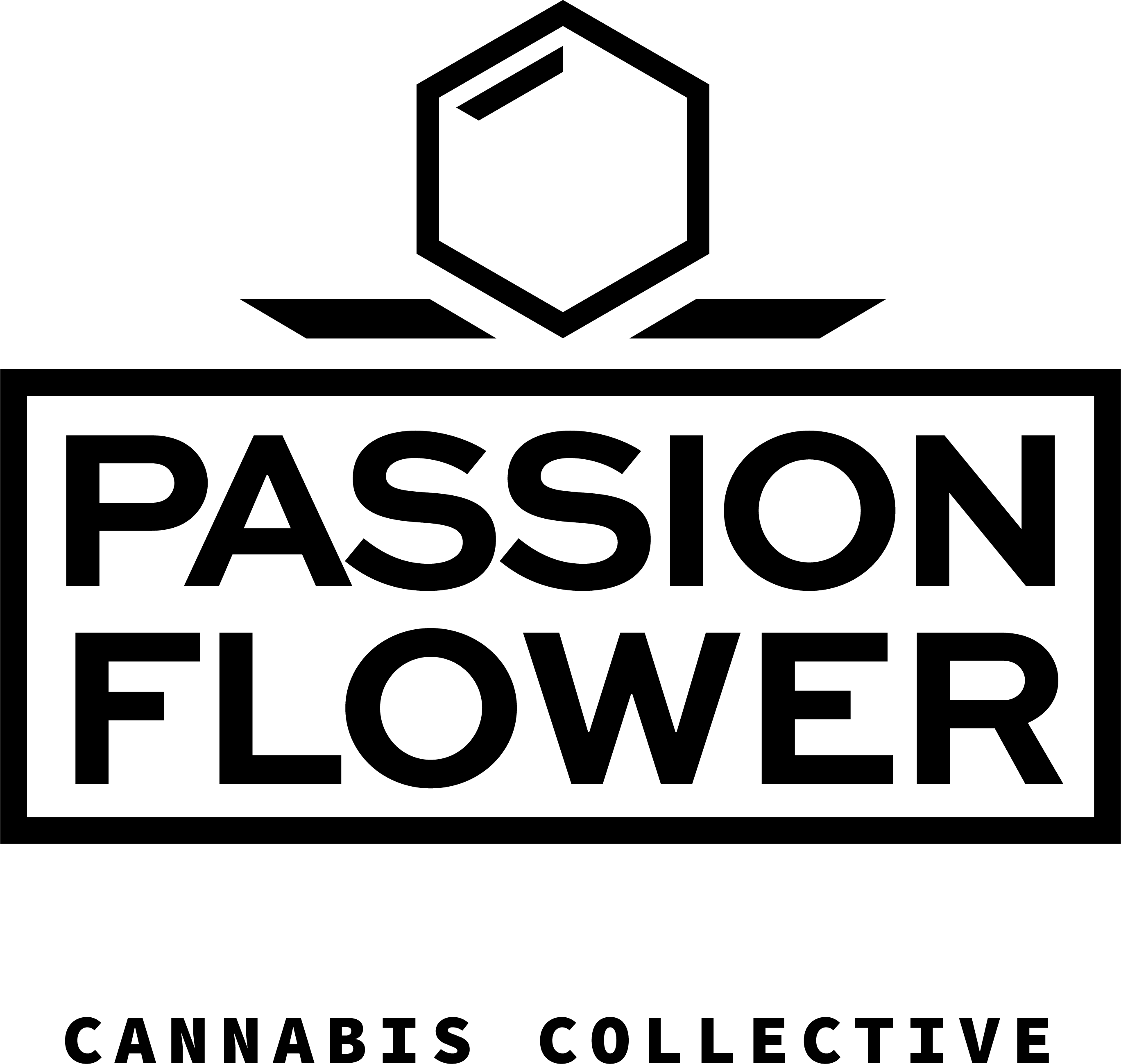 Logo for Brand Passion Flower