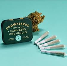 Photograph of product: Paradise Snacks | Pre-Roll 5-Pack