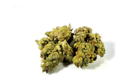 Photograph of product: Gushers - 28g