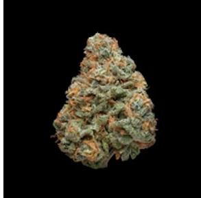 Photograph of product: Black Cherry Soda (Oui'd) - Flower, 3.5g (1/8oz)