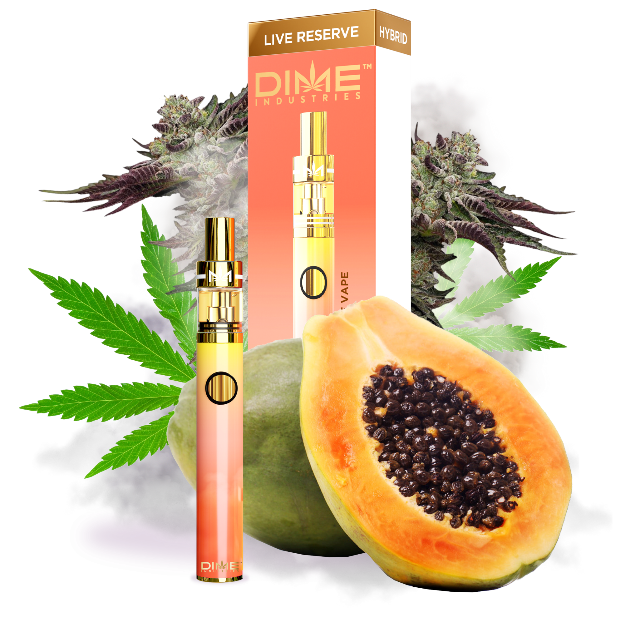 Photograph of product: Papaya | Live Resin Disposable Pen | 1g